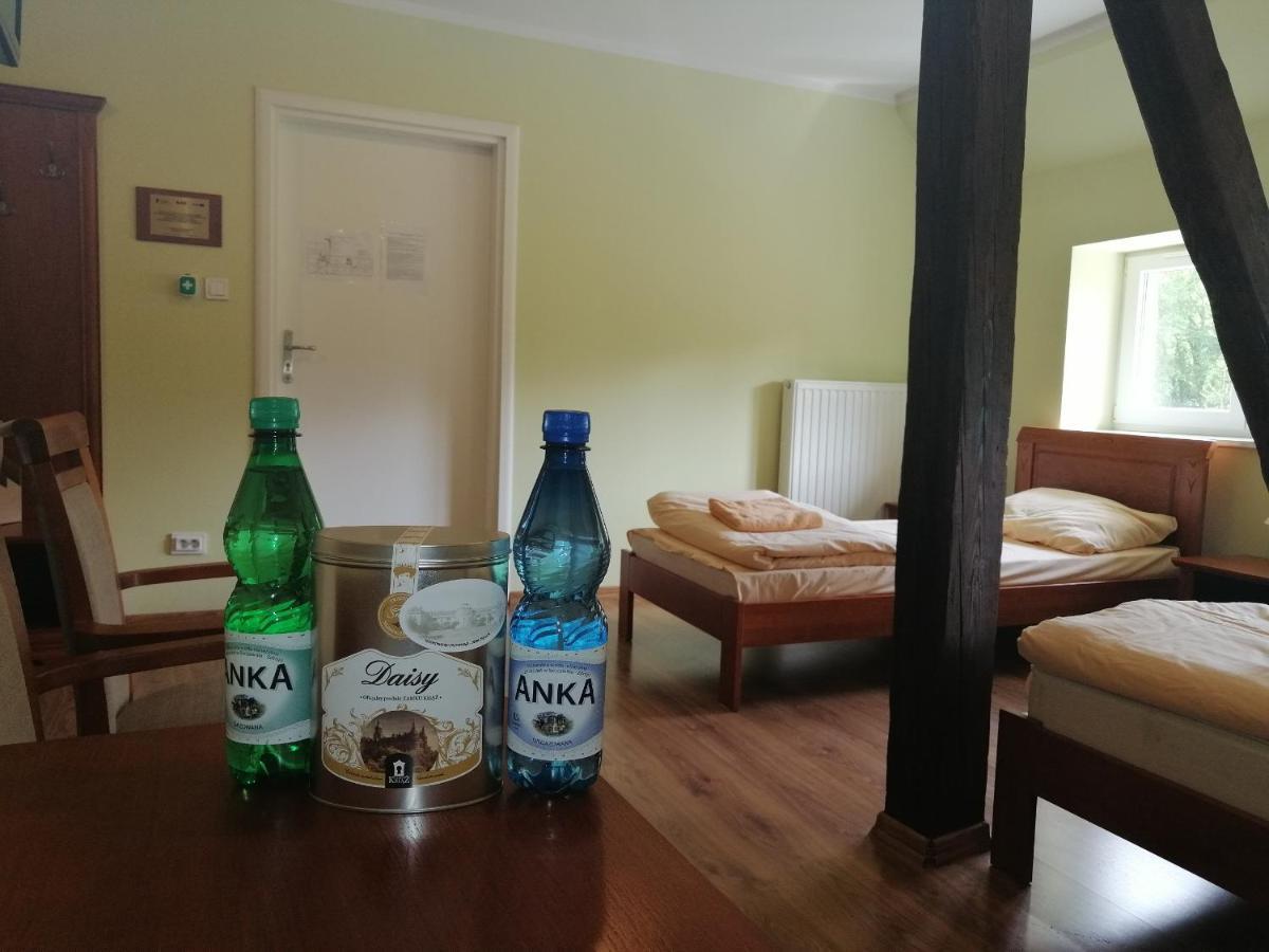 Dom Zdrojowy W Jedlinie Zdroju Aparthotel Jedlina-Zdroj Kültér fotó